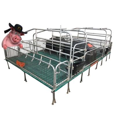 China Other sow pen farrowing pen for sale the farrowing crates for sale