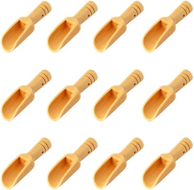 China 12 Pcs Viable Japanese Medicine Tea Powder Japanese Medicine Salt Spoon Mini Bath Salt Measuring Spoon Wooden Measuring Spoon for sale