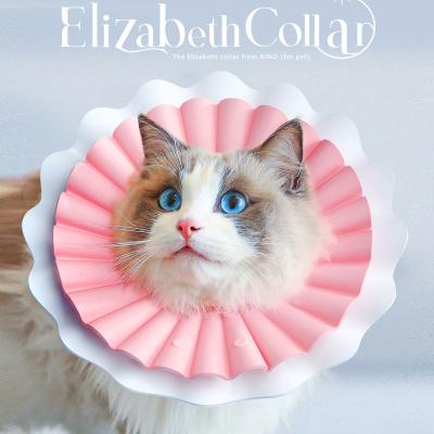 China Sustainable Adjustable Soft Pet Protection Cat Collar Elizabeth Circle for sale