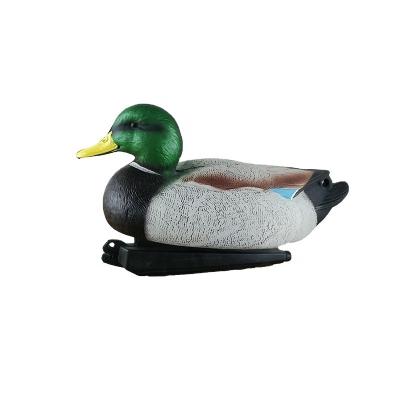 China Realistic Outdoor Hunting Duck Mallard Fields Water Float Fishing Decoy Durable PE Large With Green Head For Hunting Decoy for sale