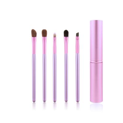 China 5pcs Portable Travel Mini Eyes Cosmetic Brush Eyeshadow Eyeliner Eyebrow Skin-Friendly Brushes Makeup Brush Set for sale