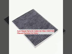 Auto Repair Parts AC Cabin Air Filter 31407748 Filterate Particles For Volvo