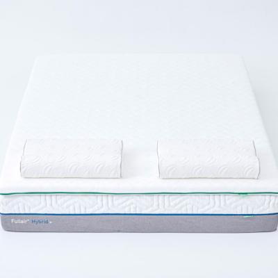 China High Quality Sleeping Massage Roll Up Pocket TPEE Mattress Comfort Zone Mattress for sale