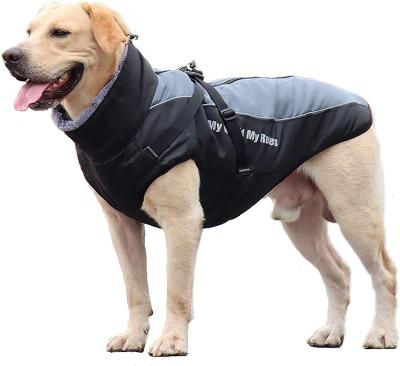 China Dog Viable Waterproof Outdoor Jacket With Reflective Turtle Neck Scarf Marking for sale