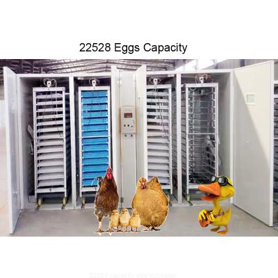 China CHINA high hatch egg incubator 33792 big hatching capacity and high efficiency big 22528 19712 16896 14784 12672 capacity hatching machine/hatcher for sale for sale