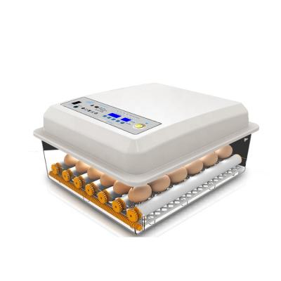 China Small Size Mini Egg Incubeter Machine Automatic 12 Egg Incubator for sale