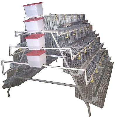 China Poultry Field A Type Livestock Breeding Equipment Cages For Live Chickens Transport With Battery And Wire Mesh for sale