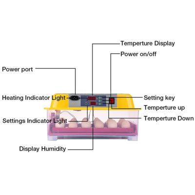 China China Good Quality Mini Hatching Machine 24 Small Size Fully Automatic Egg Incubator for Chicken, Quail, Duck Eggs for sale