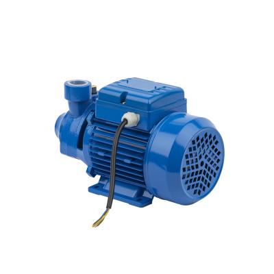 China Automotive industry factory wholesale 0.5hp agriculture solar power water pumps floor water supply bottom water pump for sale