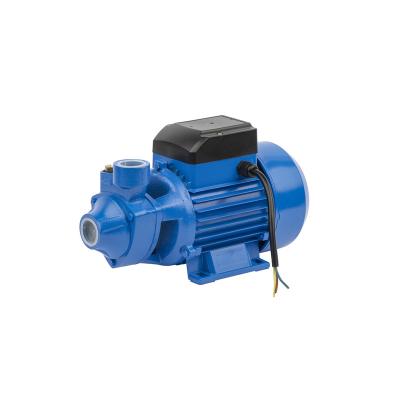 China Hot Selling Automotive Industry Mini Household Electric High Pressure Peripheral Water Pumps for sale