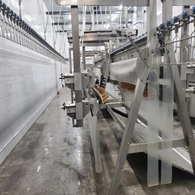 China Automatische slachtmachine voor pluimvee 500-1000 BPH Te koop