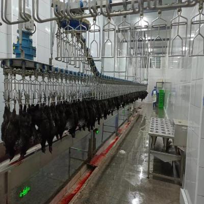 中国 3400KG ハラル 鶏肉 屠殺場 設備 トルコ ヒョウ 肉鶏 鶏肉 加工 販売のため