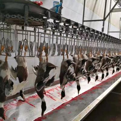 Chine Machine à abattre le poulet, l'oie, la dinde et le canard à vendre