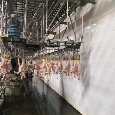 Cina Acciaio inossidabile 304 Turchia Macchine per macellazione in vendita