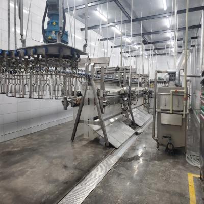 China 6000bph Poultry Slaught Line Abattoir zu verkaufen