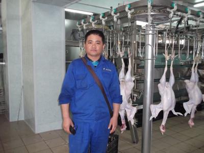 Cina New Arrival Automatic 2000BPH Poultry Chicken Slaughtering Machine Line in vendita