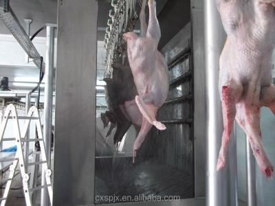 China CE Approved Duck Slaughter Machine for Poultry Butcher Processing Line à venda