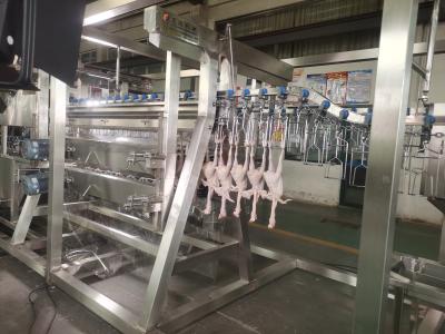 Cina 2000bph China Automatic Chicken Processing Plant New Condition Slaughtering Equipment Made of Steel Farm Poultry Slaughter Line in vendita