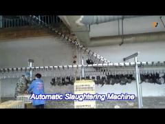 Halal Chicken Slaughter Line/Equipment for Other Processing and Performance Guaranteed