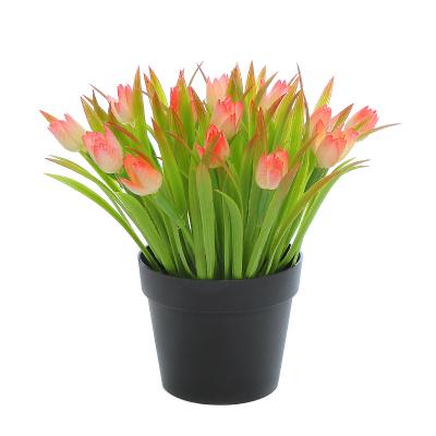 China Modern Home Furnishing Small Artificial Orchid Plant Decorative Artificial Tulips PE for sale