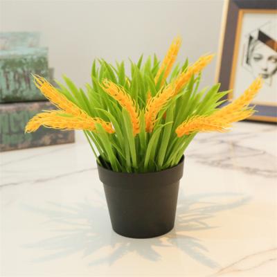 China Home Decor Artificial Flower Potted Fake Rice Flower Ear With Plastic Pots For Office Bedroom Home Decor for sale