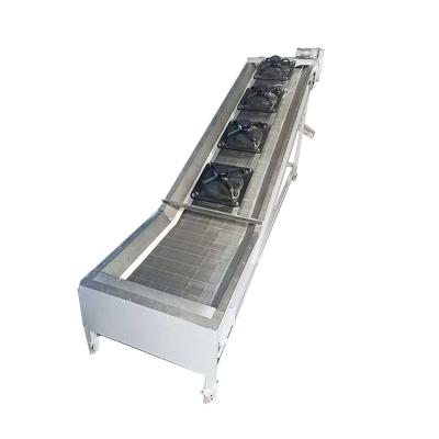 China Vegetable Processing Plant Top Tea Belt Conveyor Machine Hot Selling Tea Conveyor Good Cooling Machine for sale