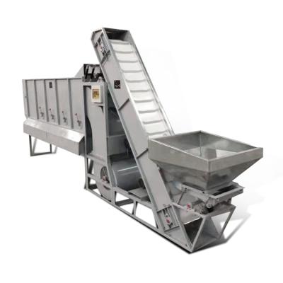 China Vegetable Processing Plant China New Type Stored Customized Large Size Tea Winnowing Sorting Machine for sale