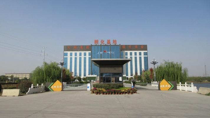 Verified China supplier - Shandong Bigtree Dreyfus Special Mealsfood Co., Ltd.