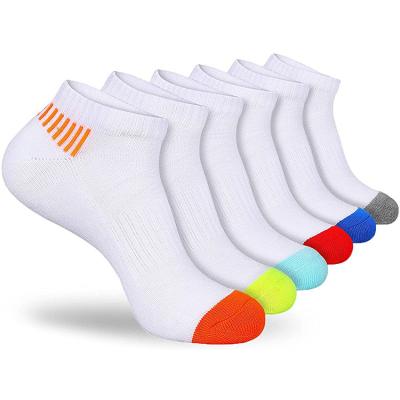 China Factory Direct Color QUICK DRY Custom High Quality Stockings Cut Cotton Sports Breathable Running Socks For Men for sale