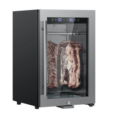 China Home Use Single-temperature Salami Dry Air Dry Curing Air Fryer Refrigerator Refrigerator Dry Beef For Restaurant for sale