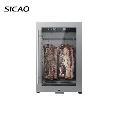 China Single-temperature Machine Salami Ham Fish Beef Aging Refridgeator Dry Aging Refrigerator Mett for sale