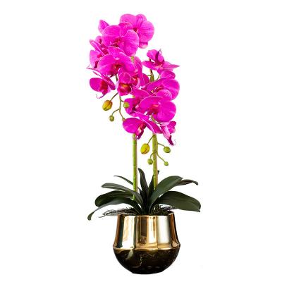 China Hot Selling Eco-friendly and Durable 3D Moth Orchid Moth Orchid Moth Orchid Artificial Flower Real Touch Artificial Flower for sale