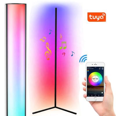 China Remote Control   Dimable Modern Designer Nordic Luxury T LED RGB Floor Lamp for Corner Standing for sale