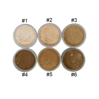 China Acne / Spot Removing Private Label Makeup Cosmetics Foundation Setting Waterproof Loose Powder 6 Color Powder for sale