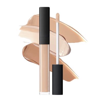 China Whitening High Quality Private Label Vegan Warmer Cream Women's Black Dark Skin Liquid Concealer Pencil for sale