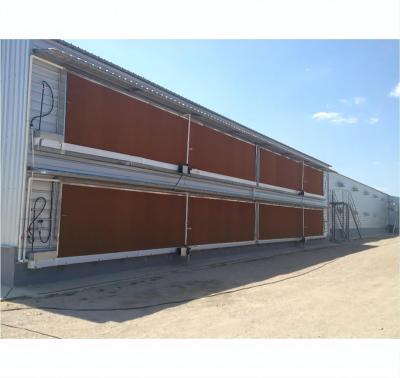 China Poultry House Prefabricated Steel Structure Chicken House Shed for sale