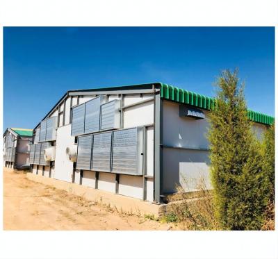 China Poultry House Prefab Steel Structure Chicken Broiler House Poultry Farm Shed for sale