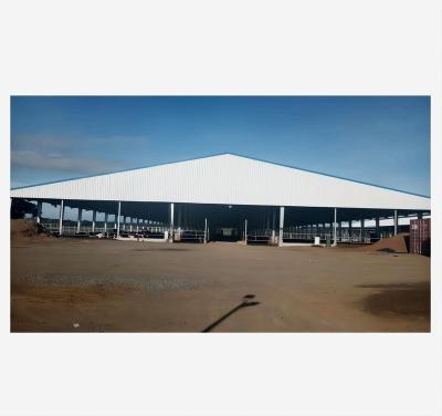 China Steel Workshop Light Weight Prefab Steel Structure Cow Shed Building for sale