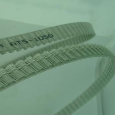 China Factory T10 Tooth Type PU With Steel Core 740mm Seamless Belt Length 5mm Belt Width Belt Sale By One Bundle for sale