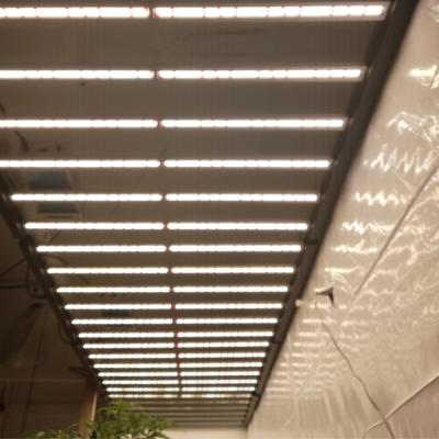 China Seed Starting Full Spectrum LM 301H 1000W LM 301H 1000W Indoor Led Hydroponic Foldable Led Plant Growth Full Phyto Growth for sale