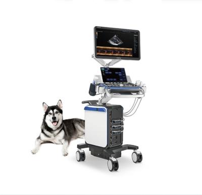 China Mindray Brand Vetus8 Veterinary Color Doppler Ultrasound System Vetus8 for sale