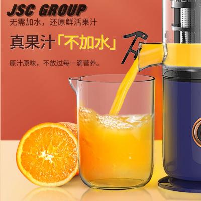 China New Style Outdoor Juicer 200W Super Slow Speed ​​Juicer Orange Juicer for sale