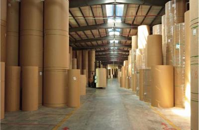 China Uncoated Recycled 280g 325g 350g Food Grade Kraft Paper Rolls for sale