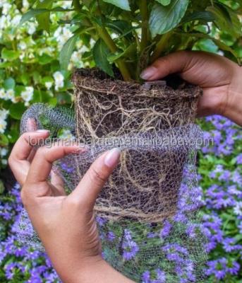 China Eco-Friendly 5 Gallon Root Protector Wire Baskets for sale