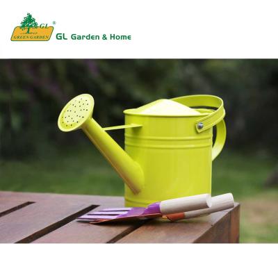 China Wholesale Customized Carrrying Handle Garden Tools Metal Watering Box Watering Cans for sale