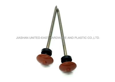 China Ring Shank Roofing Nails 304 Stainless Steel Nails Rubber Washer Painted Head for sale