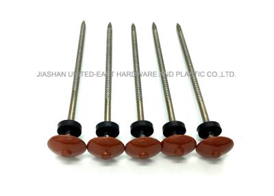 China Corrosion Resistant 304 Stainless Steel Nails Umbrella Head Roofing Nails for sale