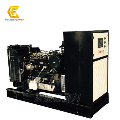 China Clean Energy 50kva/40kw Biogas Generator Set Made In China YX40GFQ for sale