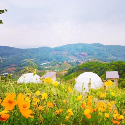 China Waterproof Steel Tubes PVC Coating Glamping House Dome Tent For Sale Licing Dome-04 for sale