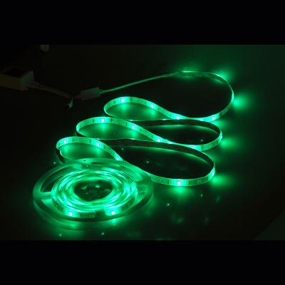 China LANDSCAPE Smart RGB Led Strip Lights Waterproof Colorful Flexible Strip Led Light for sale